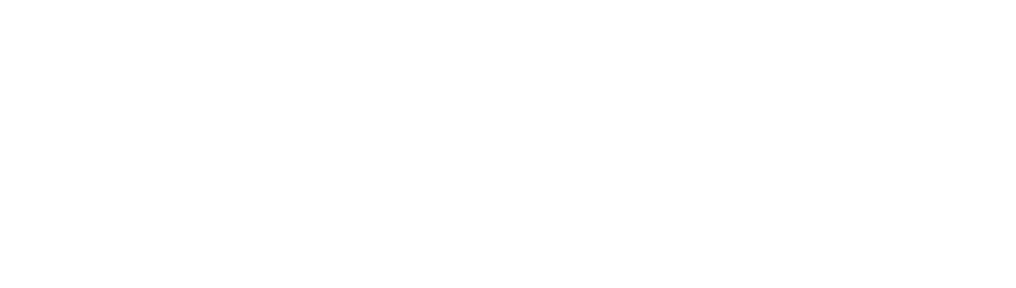 plan vivo